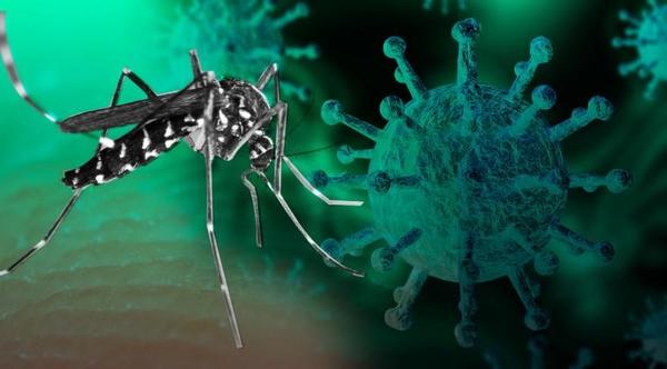Advierten que tercera ola de COVID será peor al sumarse el dengue – Prensa 5