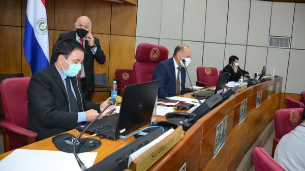 Senado definirá en una sesión extra la terna para Defensoría