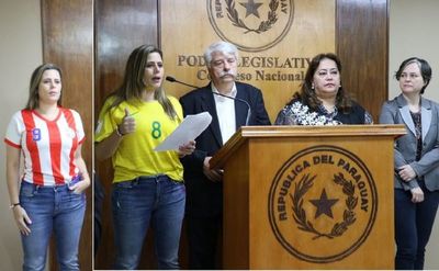 Piden que Paraguay no baje el precio de venta de energía a Brasil