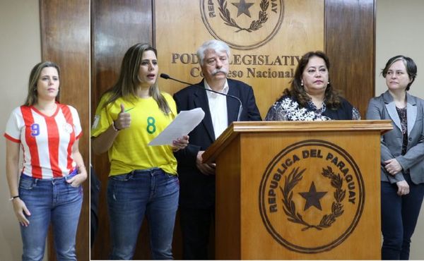 Piden que Paraguay no baje el precio de venta de energía a Brasil