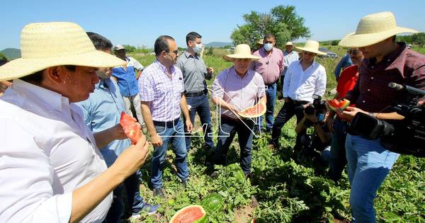 La Nación / Cartes: “El Partido Colorado debe ser una herramienta para toda la gente”
