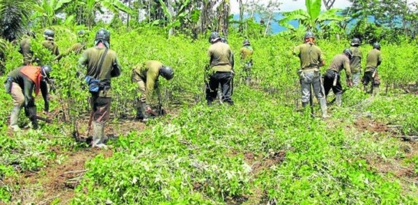 Diario HOY | Cocaleros retienen a unos 180 militares en frontera entre Colombia y Venezuela