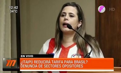 ¿Itaipú reducirá tarifa para Brasil? | Telefuturo