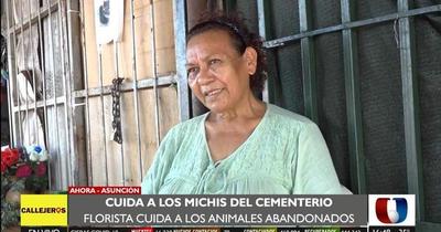 ¡Qué gran corazón!: mujer cuida a gatitos abandonados en cementerio de la Recoleta