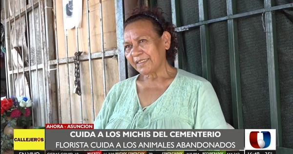 ¡Qué gran corazón!: mujer cuida a gatitos abandonados en cementerio de la Recoleta