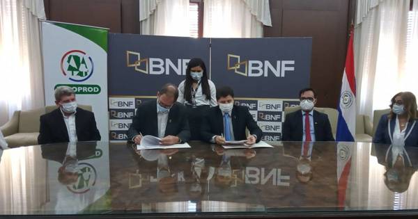 La Nación / BNF ofrecerá sus servicios financieros a productores de Fecoprod