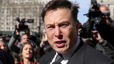 Acusan a SpaceX de causar la muerte de aves en peligro de extinción