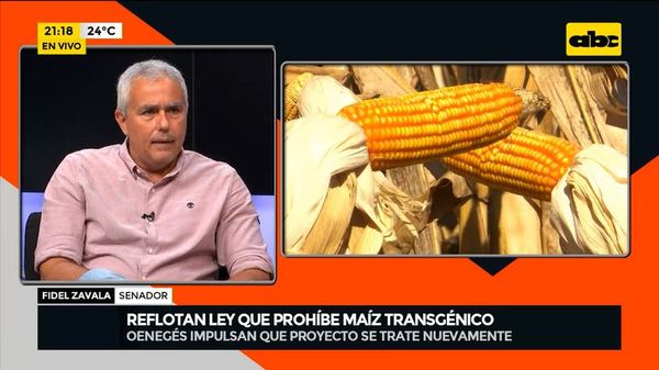 Reflotan viejo proyecto para prohibir biotecnología en cultivos de maíz - Mesa de Periodistas - ABC Color
