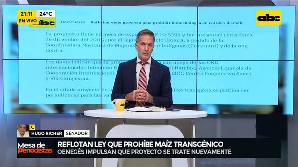 Reflotan ley que prohíbe maíz transgénico - Mesa de Periodistas - ABC Color