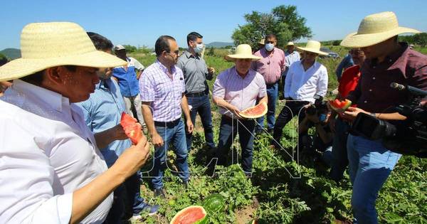 La Nación / “Me puse en modo Concordia y quiero paz”, dijo Cartes