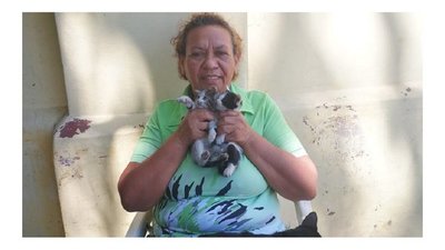 Florista de Recoleta cuida desde hace años a gatitos del cementerio