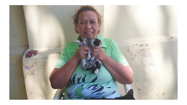 Florista de Recoleta cuida desde hace años a gatitos del cementerio