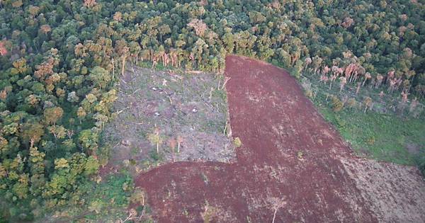 La Nación / Efectos del cambio climático deben ser abordados por todos los sectores, afirma experto