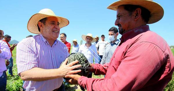 La Nación / “Se dedicaron a destruir todo el Grupo Lince”, lamenta Cartes