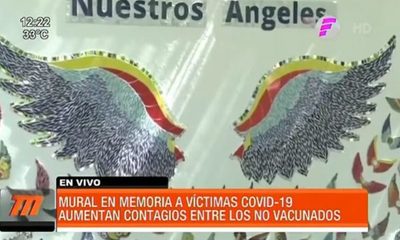 Realizan mural en memoria a victimas del COVID19 | Telefuturo
