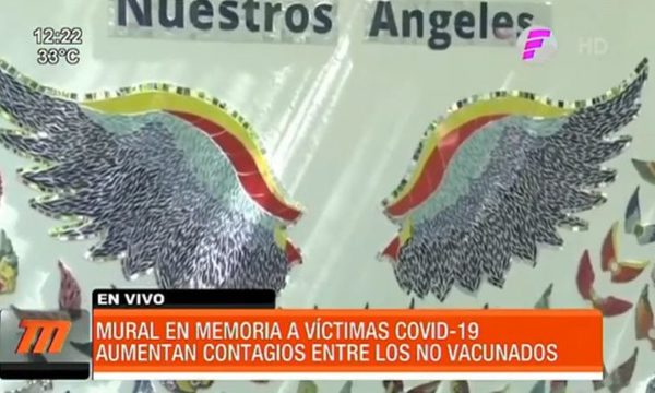 Realizan mural en memoria a victimas del COVID19 | Telefuturo