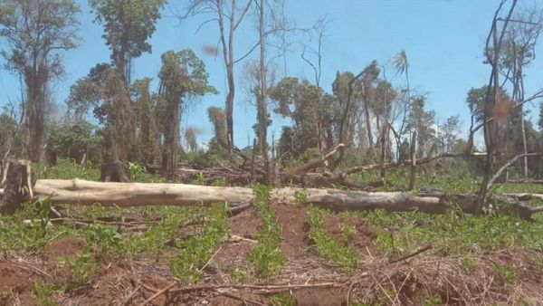 Denuncian que sigue depredación en Reserva San Rafael y piden control