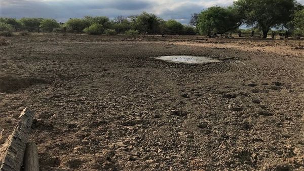 Alto Paraguay sufre de aislamiento y urgen asistencia
