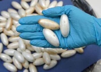 La nueva jugada de las mafias africanas para llegar a Europa