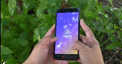 ‘Kakuaa’: lanzan app para gestión de ahorro e inversión
