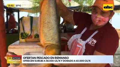 Veda preocupa a pescadores de pilar, suspensión de pesca coincide con repunte del río - ABC Noticias - ABC Color