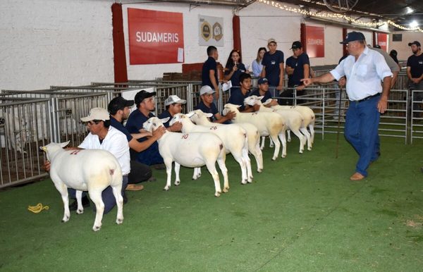Se observaron Texel a campo muy productivos y funcionales