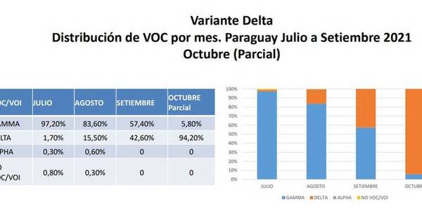 La Nación / Salud: 94% de los casos de covid es de la variante Delta