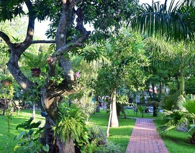 Verdor en el paraíso: el jardín que estabas buscando - ABC Revista - ABC Color