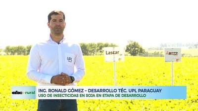 Uso de insecticidas de UPL en soja, en etapa de desarrollo - ABC Rural - ABC Color