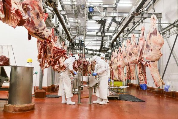 Se inicia este lunes el examen final para exportar carne a los EE.UU - Nacionales - ABC Color