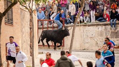 Un hombre muere tras ser corneado en los festejos taurinos en España | Ñanduti