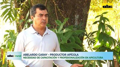 Falta capacitación y profesionalización, en apicultura - ABC Rural - ABC Color