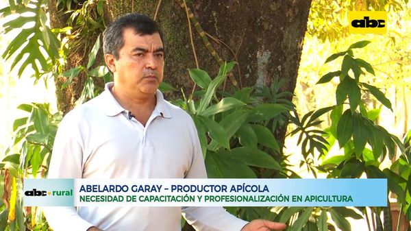 Falta capacitación y profesionalización, en apicultura - ABC Rural - ABC Color