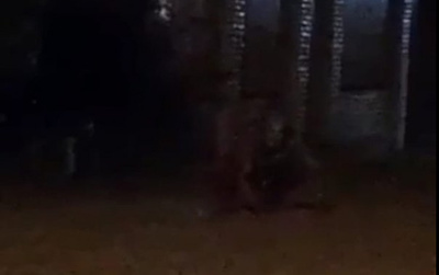 Crónica / ¿HOMBRE LUISÓN? “Estaba caminando como un perro”