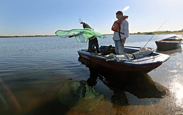 Pescadores urgen el pago del subsidio ante inicio de la veda | Ñanduti