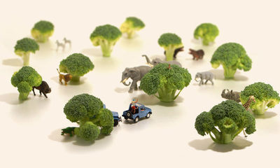 El fabuloso mundo en miniatura de Tanaka Tatsuya