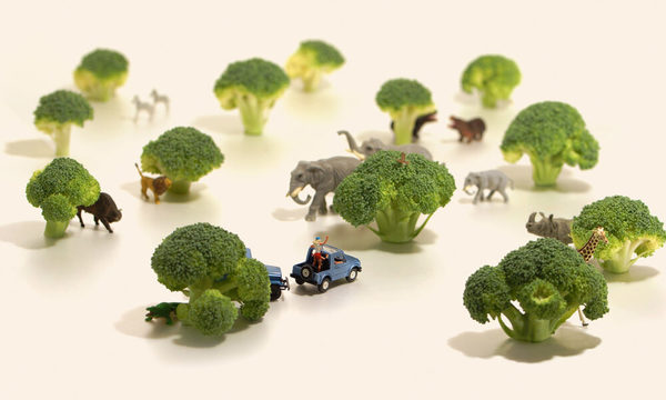 El fabuloso mundo en miniatura de Tanaka Tatsuya