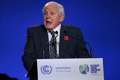 David Attenborough: “Una revolución industrial sostenible es esencial” - Mundo - ABC Color