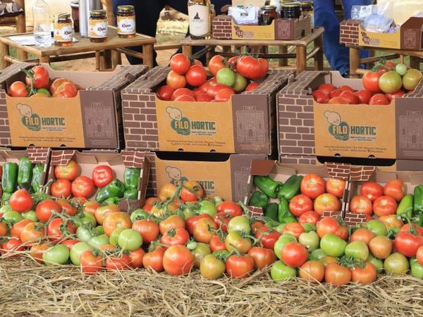 “Expo Tomate”en Misiones fue todo un éxito - Nacionales - ABC Color