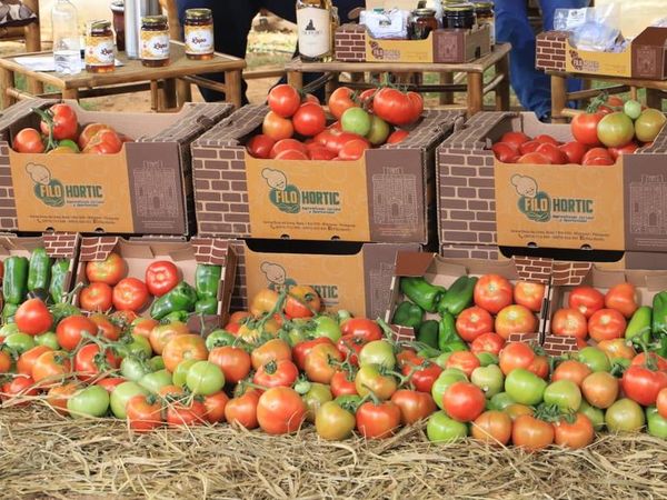 “Expo Tomate”en Misiones fue todo un éxito  - Nacionales - ABC Color