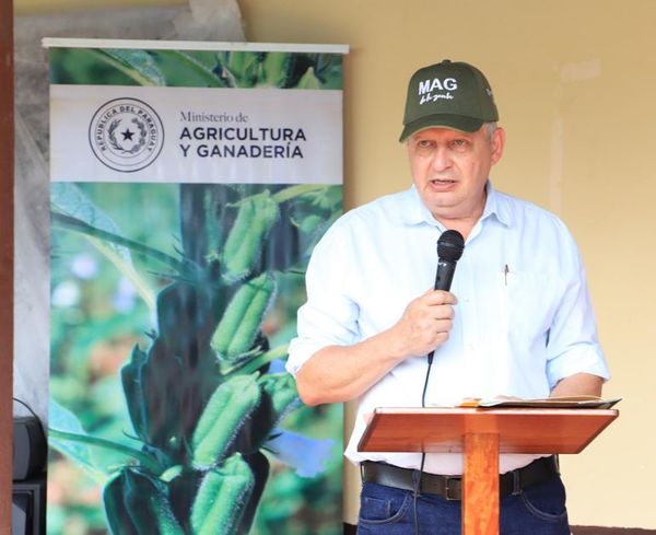 Delegación paraguaya debatirá en Cumbre de Cambio Climático sobre cómo disminuir daño ambiental - Nacionales - ABC Color