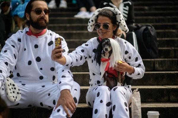 Brooklyn celebra desfile de disfraces de... perros - Mascotas - ABC Color