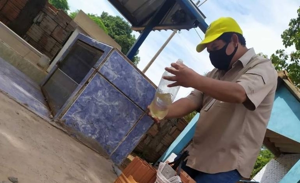 Diario HOY | Floreros con arena húmeda en vez de agua, recomiendan en los cementerios