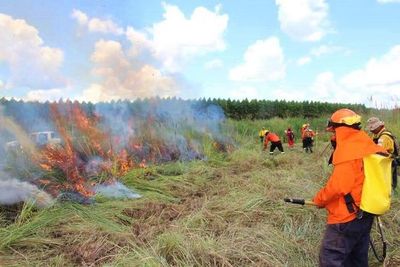 Capacitan a bomberos de Villarrica para combatir incendios forestales - Nacionales - ABC Color