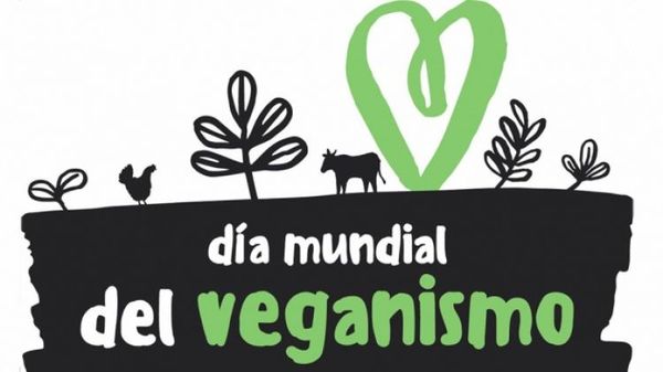 Ocho términos para entender las distintas formas de alimentarse sin derivados animales