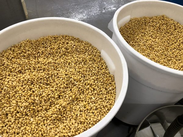 El ingreso de Argentina por la exportación del agro creció un 40,8 % en octubre - MarketData