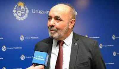 Droga incautada en Holanda se cargó en Paraguay, afirman desde Aduanas uruguayas
