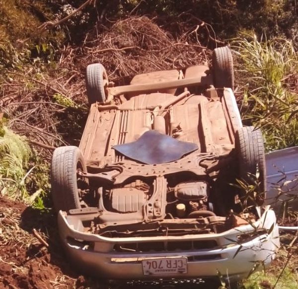 Volcó tras esquivar a un perro