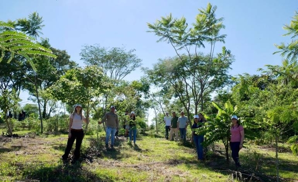 Diario HOY | Proyecto Independencia Verde registra excelentes resultados en el Guairá