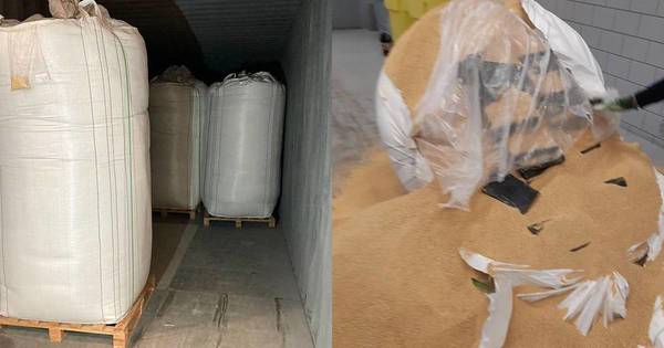 La Nación / En Holanda, interceptan 4.178 kilos de cocaína proveniente de Paraguay